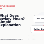 What Does lowkey Mean? Simple Explanation and Examples