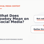 What Does lowkey Mean on Social Media?